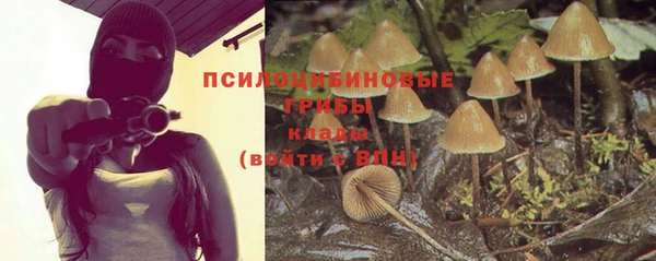 мяу мяу мука Покров
